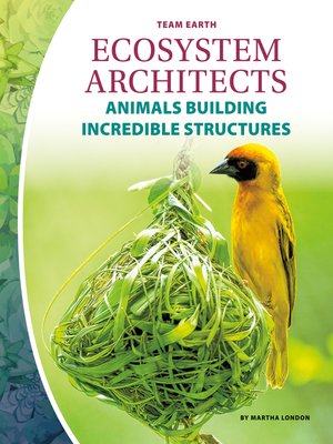 cover image of Ecosystem Architects